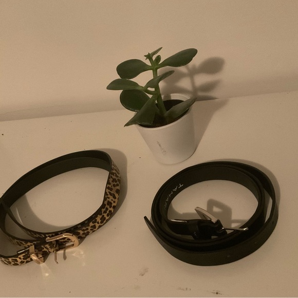 ⭐️FREE BELTS (2) - Picture 1 of 1